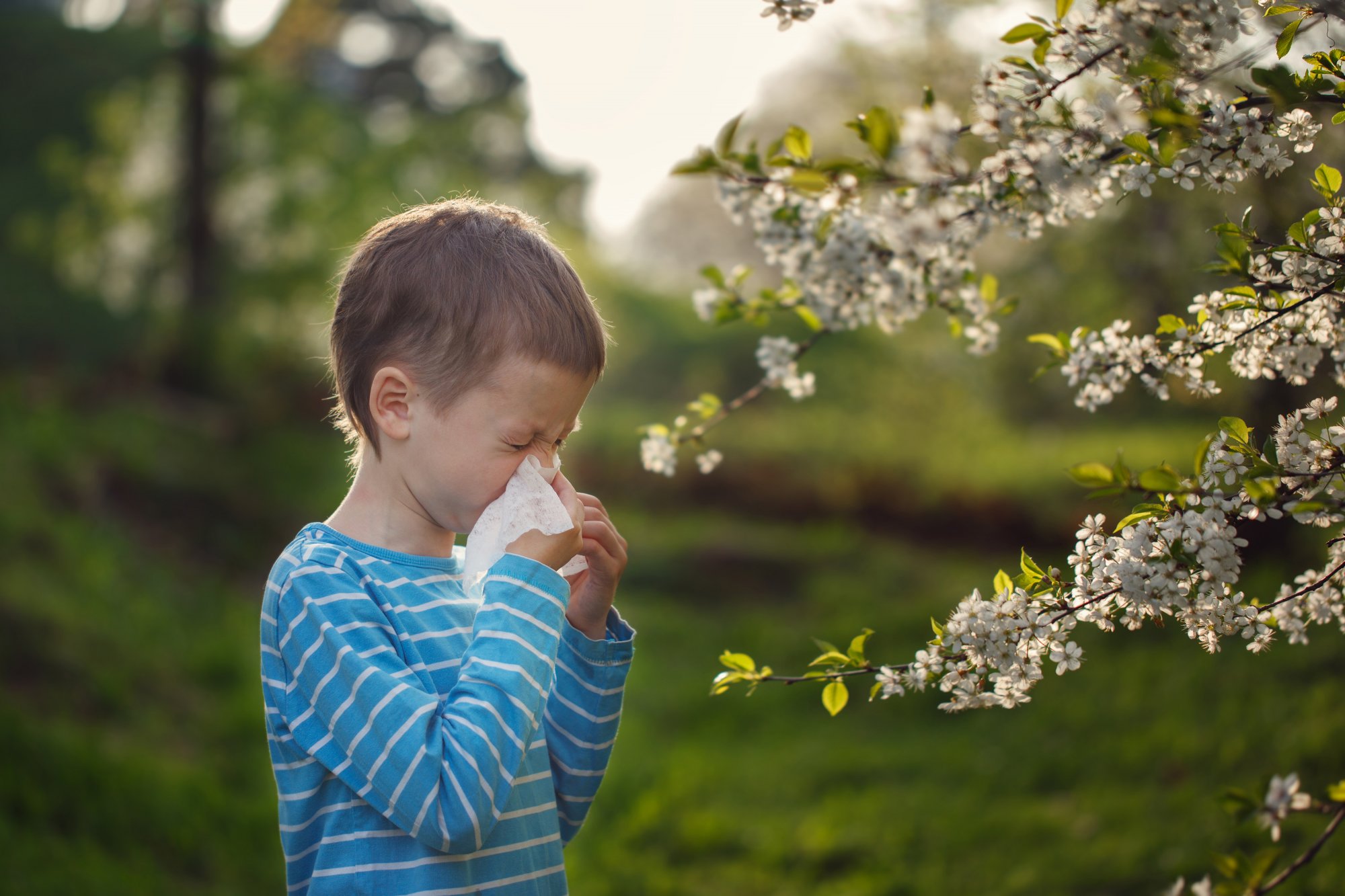 You are currently viewing Allergien: Wenn das Immunsystem protestiert